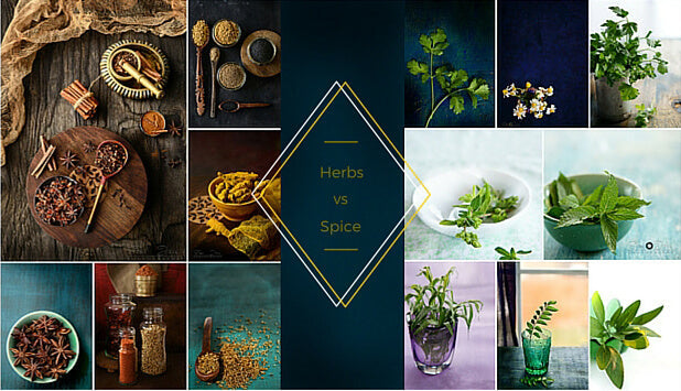 Herbs and Spices comparison 