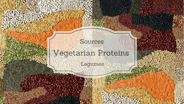 A Tasty Guide to Vegetarian Protein