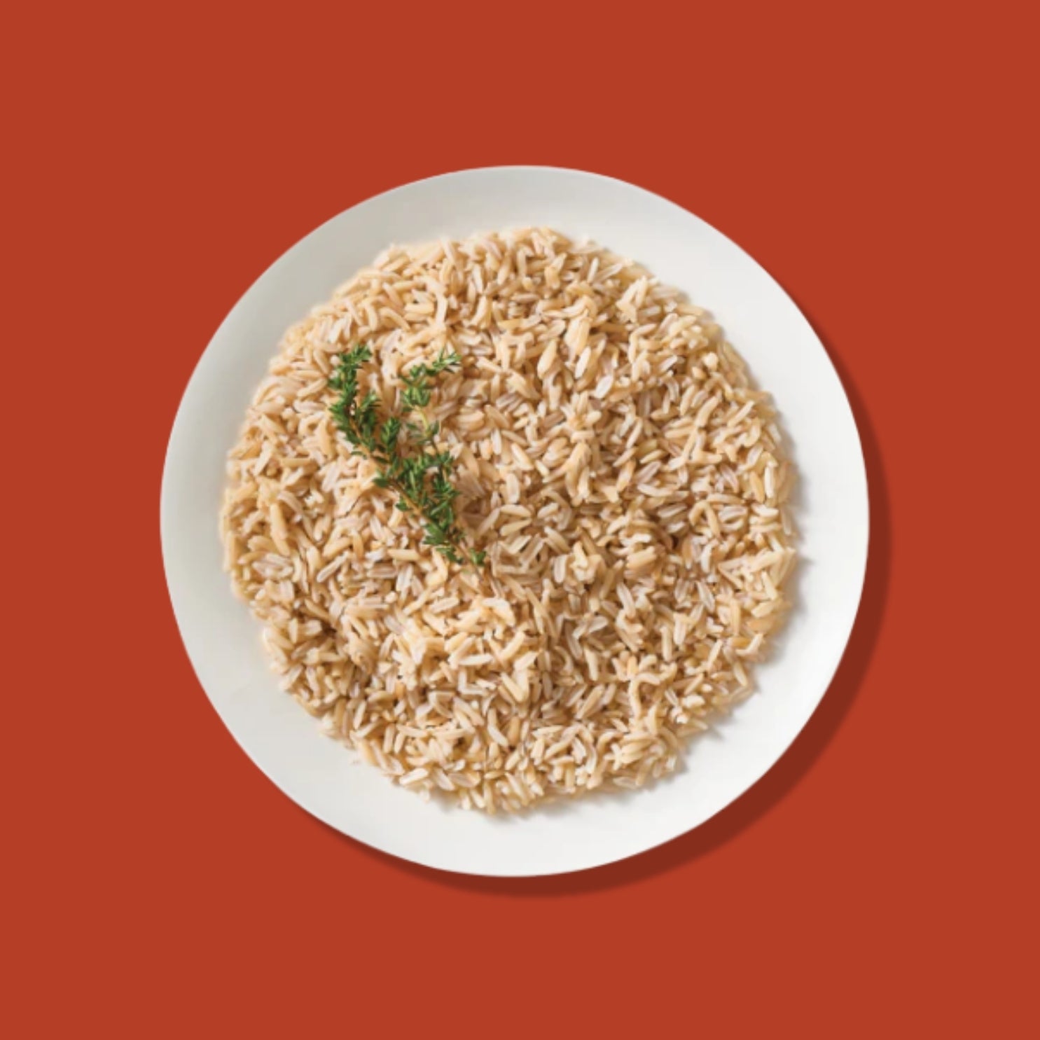 Organic Brown Rice - 6 Pack