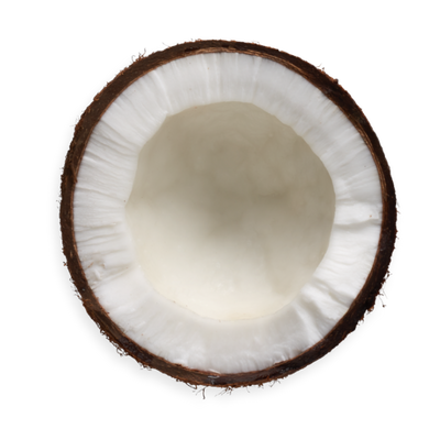 Coconut half showing white flesh for coconut milk