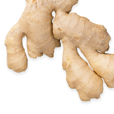 Fresh ginger root with zesty aroma