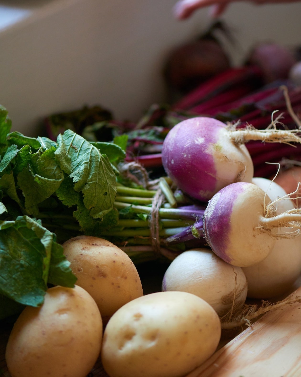 Farm-fresh potatoes and turnips with leafy greens